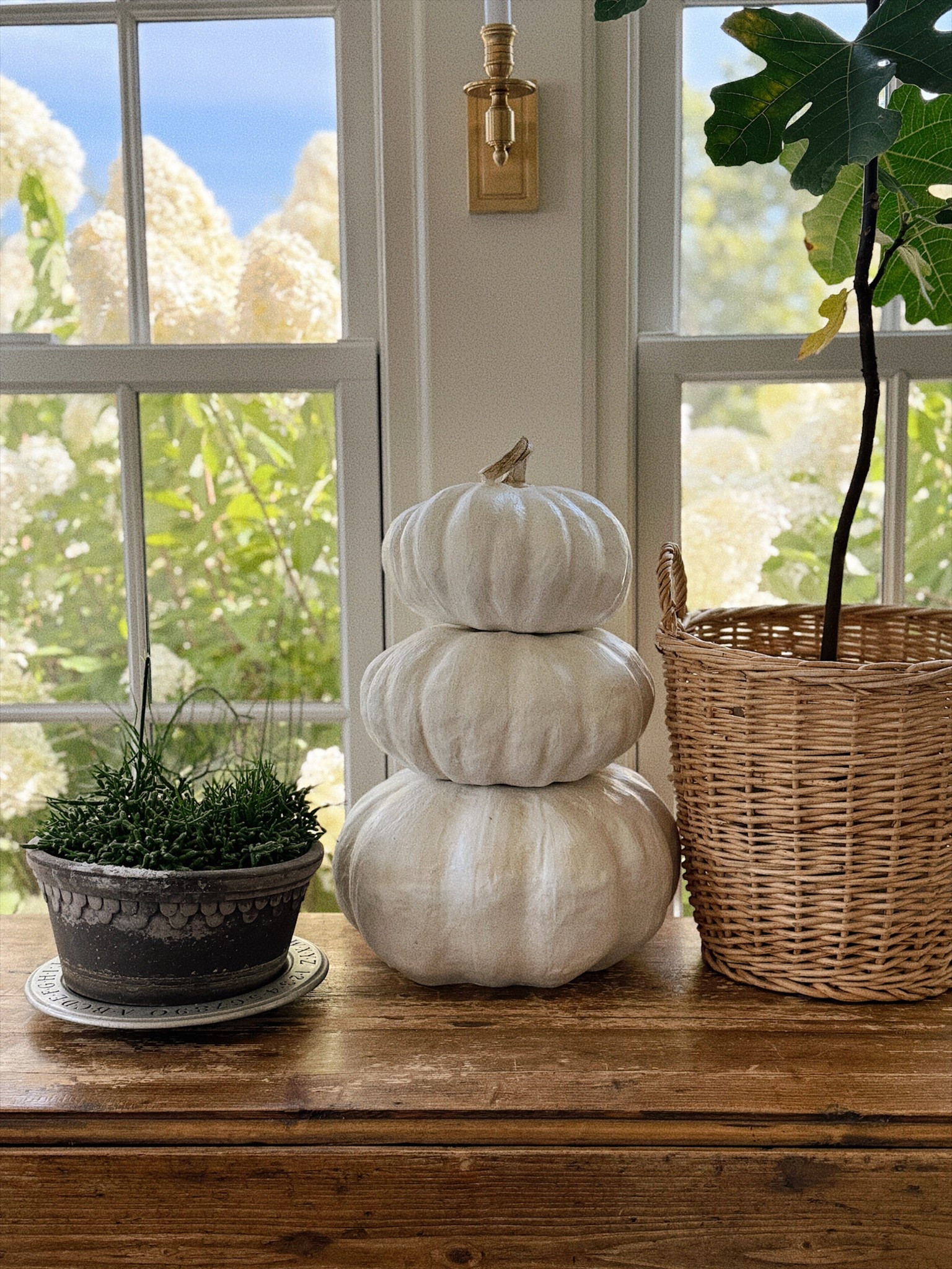 Love these stacking pumpkins that you can style separately or stack like this! A set of 3 for less than $40! 

#LTKSeasonal #LTKHome #LTKSaleAlert