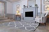 Elegant Comfort Luxury Softest, Shaggy Collection Modern Indoor Area Fluffy Living Room Carpets for  | Amazon (US)