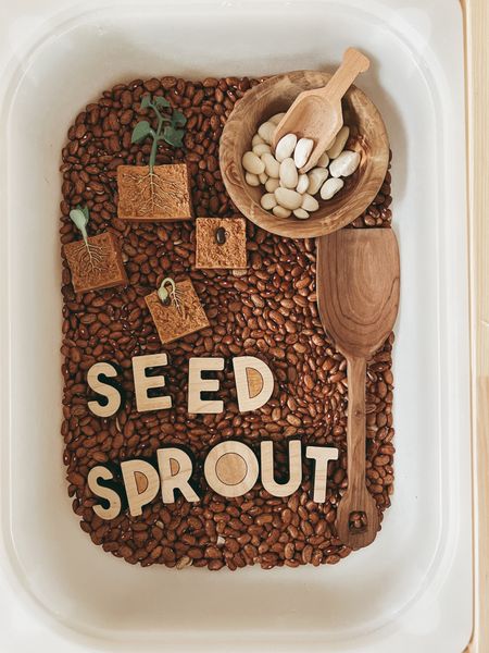 THNS SPRING | week one - seeds & sprouts 🌱 

spring sensory bin for kids

#LTKkids #LTKfindsunder50