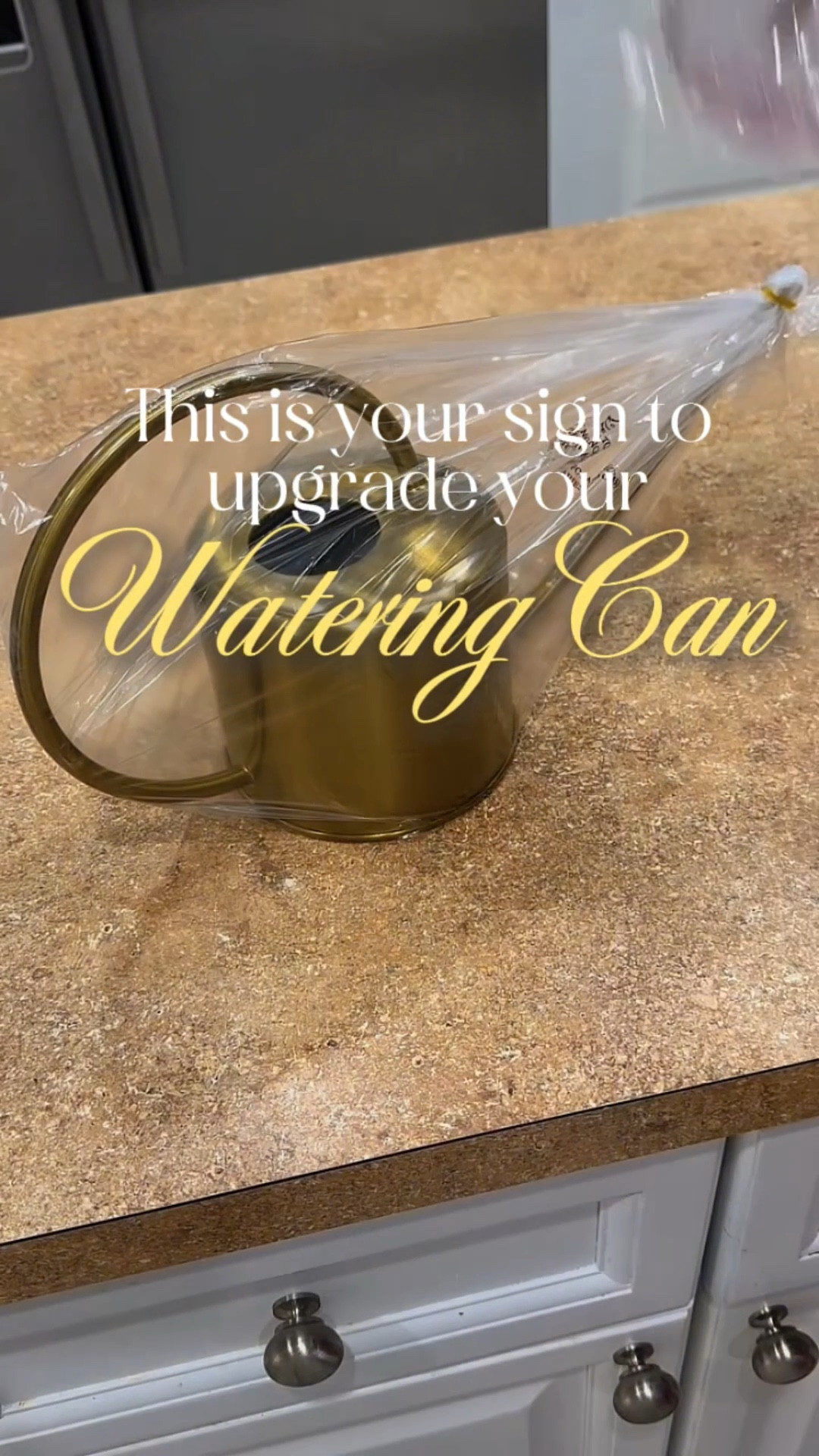 This Amazon watering can is too cute 🪴✨ Lightweight, pours perfectly, and pretty enough to leave out as décor. Total plant-mom win.

#LTKHome