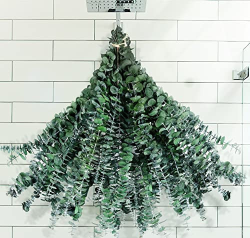30 Pcs Preserved Eucalyptus Stems for Shower, 17'' Dried Plants, 100% Real | Amazon (US)