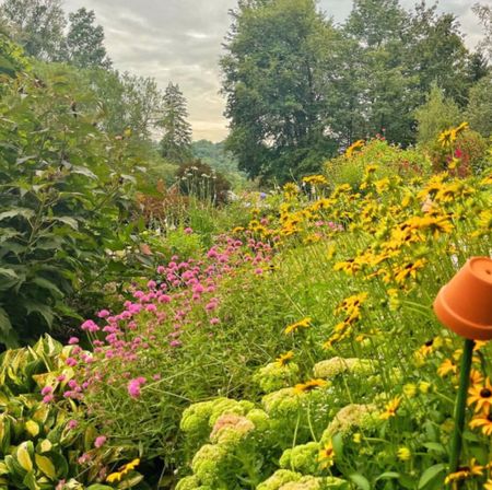 How to Grow an Easy Care and Low Maintenance Flower Garden for Beginners 

Flower garden, cottage core, outdoor living, fall decor, fall gardening, outdoor decor 

#LTKSeasonal #LTKGiftGuide #LTKHoliday