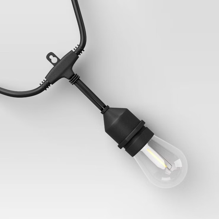 24ct Drop Filament Tubes Indoor/Outdoor String Lights - Black Wire - Smith & Hawken™ | Target