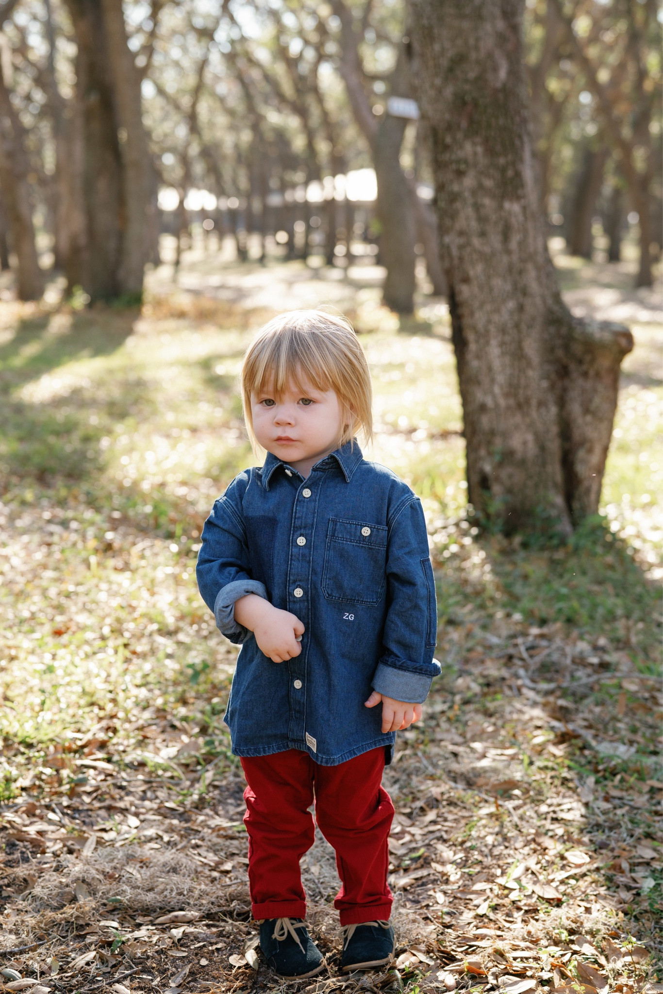Toddler boy holiday photo look

#LTKHoliday #LTKKids #LTKStyleTip