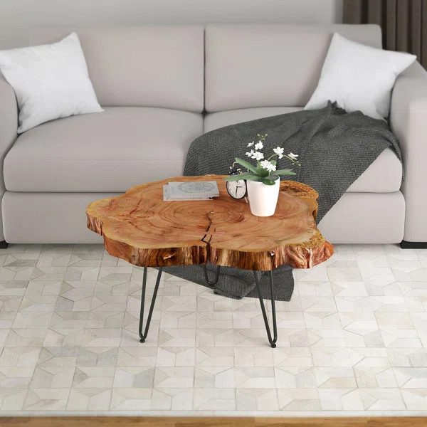 Etchison Acacia Wood Coffee Table | Wayfair North America
