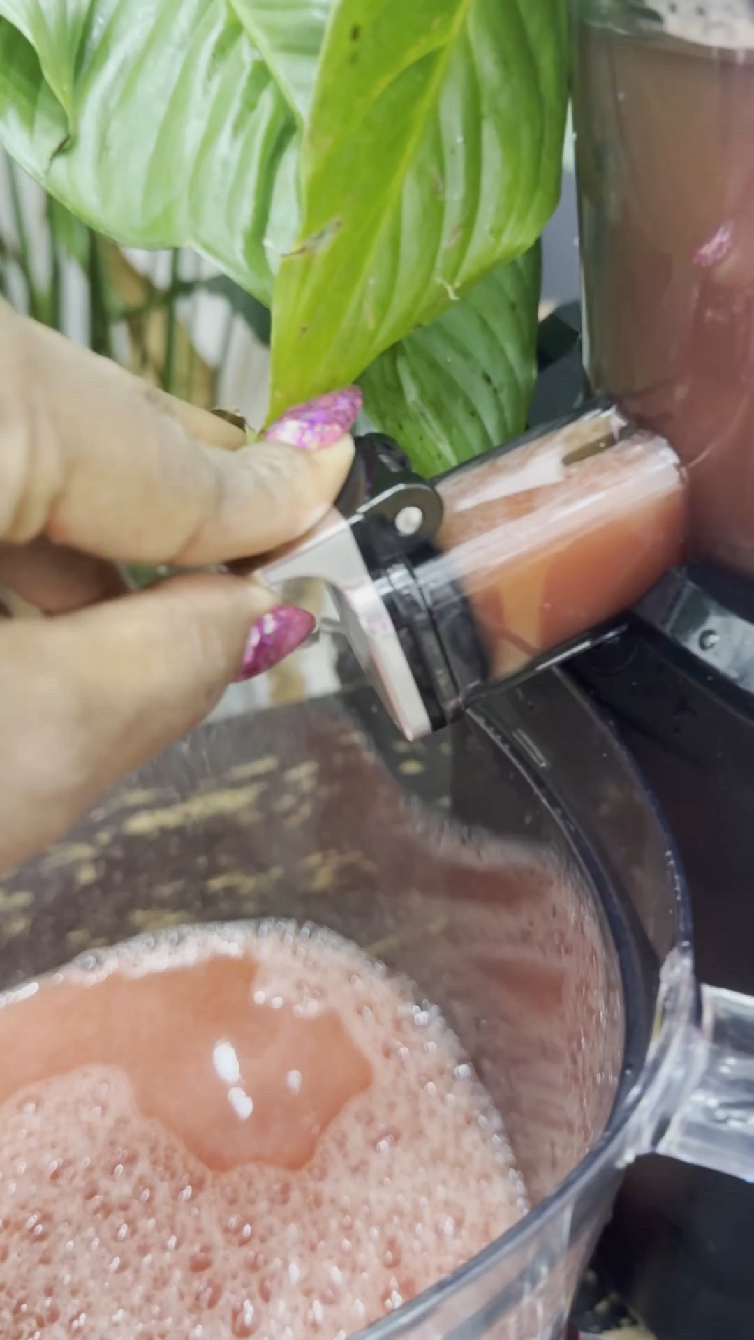 One of my biggest New Year resolutions is taking my health seriously — and investing in a juicer makes that commitment REAL 🥬✨
Fresh juice at home makes consistency easier and excuses disappear.
I linked the juicer I’m using on LTK to start the year strong.

#newyearresolution #healthgoals #juicerlife #wellnessupgrade #healthyhabits #freshjuiceathome #LTKhome #LTKfinds #LTKsale #shoppingfavorites #onlineshopping #selfcareinvestment #ShoppingWithPriiincesss #Atlantamom #AtlantaCreator #Atlantacontentcreators