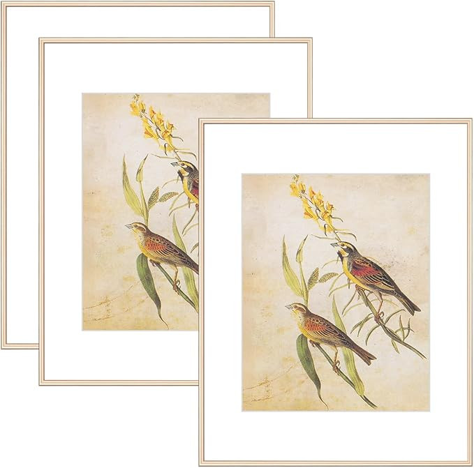 11x14 Picture Frame Set of 3, Brass Modern Aluminum Metal Photo Frame with HD Glass, Fits 8x10 wi... | Amazon (US)