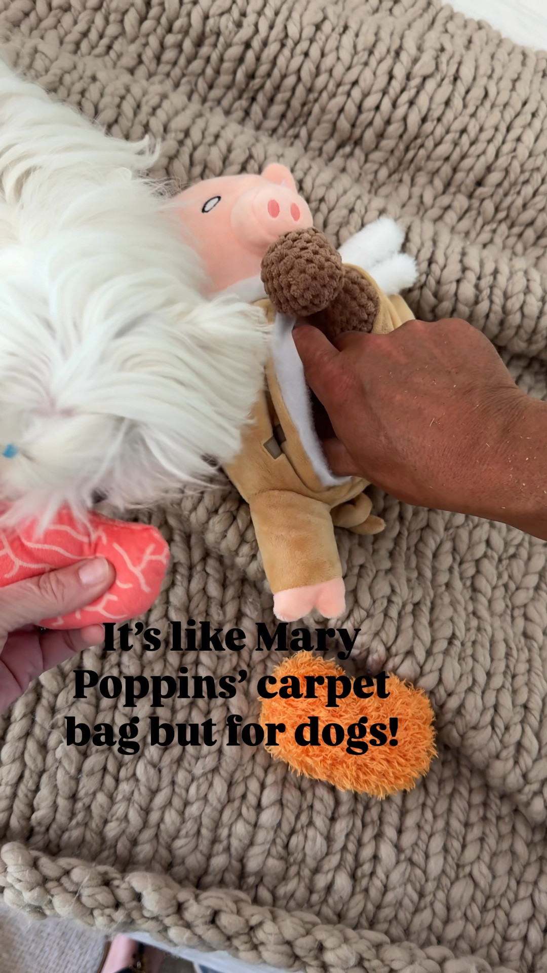 Coco’s favorite dog toy! She loves the bacon 🥓 

#LTKPets