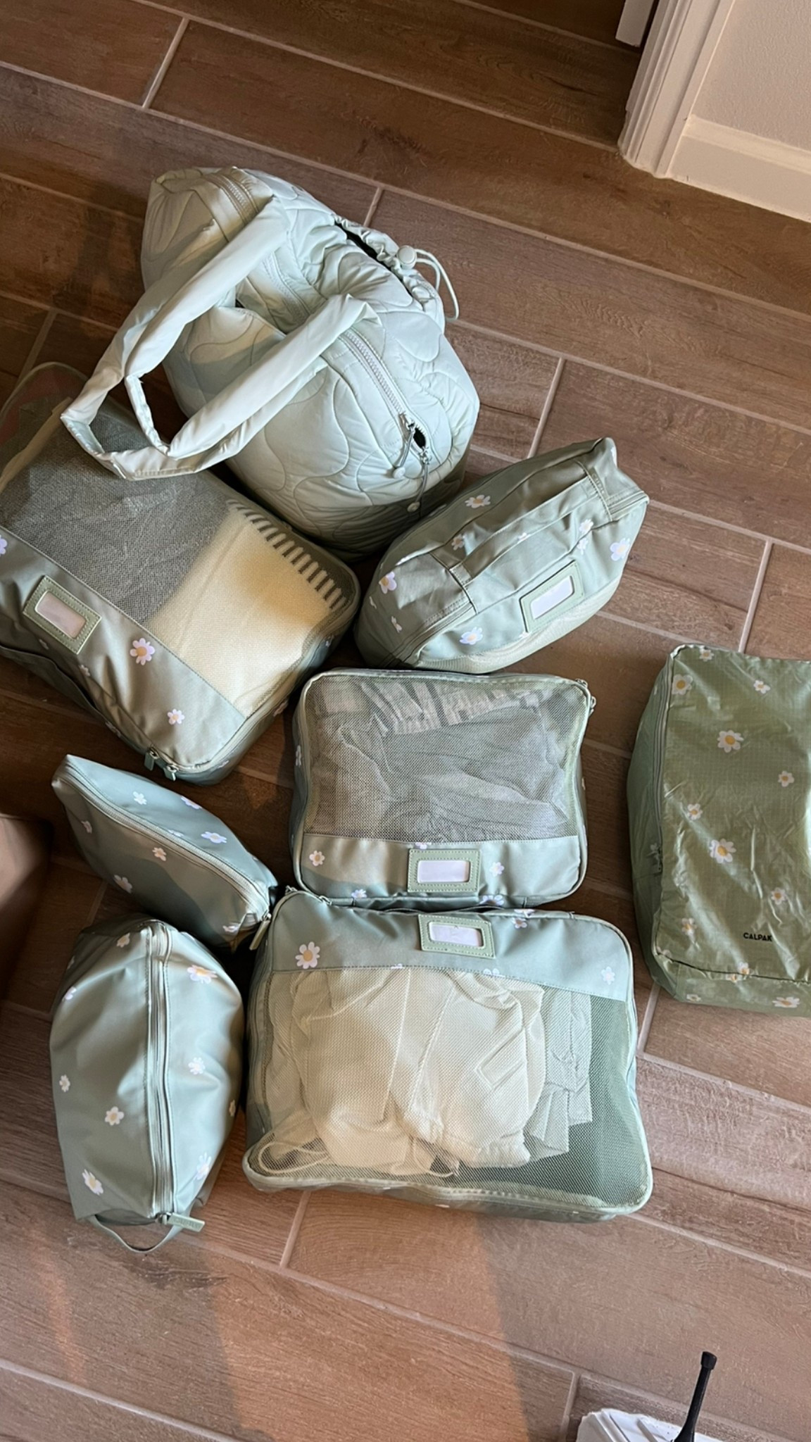 Packing Cubes and Travel Bags✈️