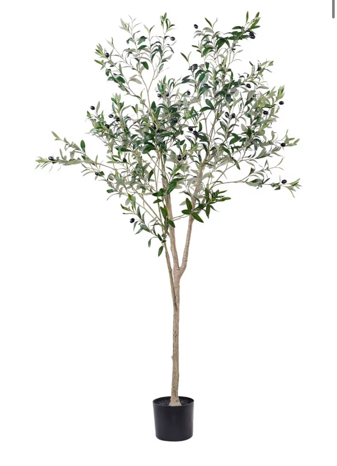 This is a beautiful faux olive tree! I have ordered this 3 times for different locations in different homes. Requires a bit of assembly but it's easy to understand once done and fluffed up from the box. Throw the base in a pretty pot to level up and voila! Great price point. 

#LTKHome