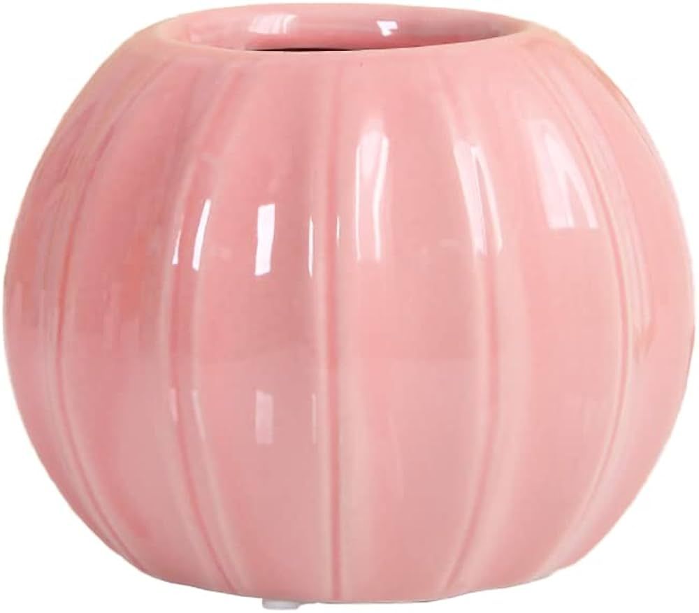 Creative Pumpkin Shape Ceramic Vase for Flower Dry Flower Hydroponic Planter Decorative Vase for ... | Amazon (US)