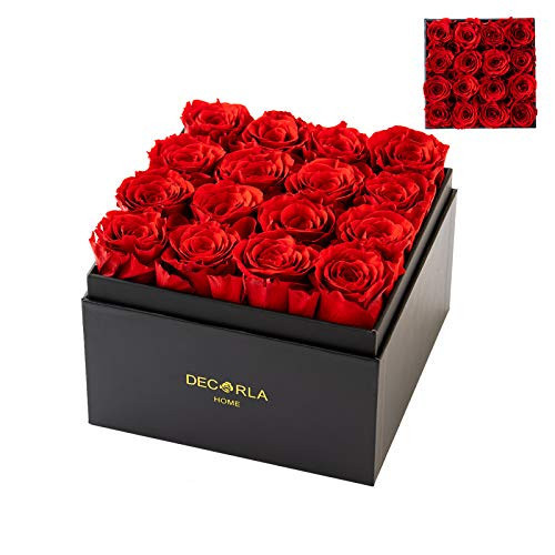 DEC RLA HOME Decor Preserved Rose Box,Forever Rose Birthday Party Decorations,Long Lasting Eternal Life Real Roses for Women (16 Roses, Red) | Amazon (US)