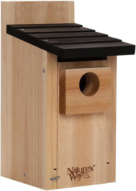 Nature's Way Bird Products CWH3 Cedar Bluebird Box House | Amazon (US)