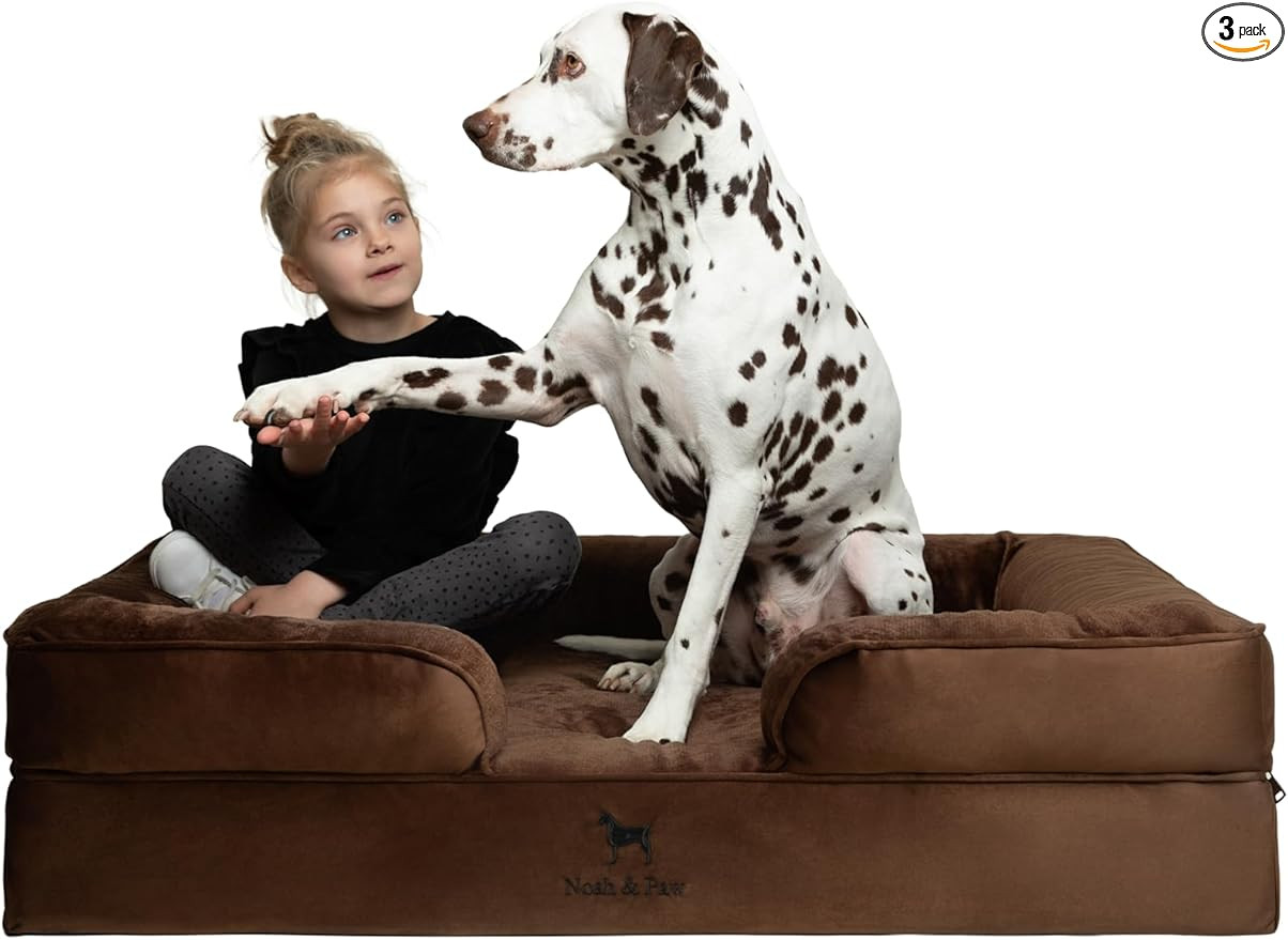 NOAH & PAW XL Dog Bed, 45x35x11 Inch, Orthopedic Large Dog Beds, Eggshell Memory Foam Infused wit... | Amazon (US)