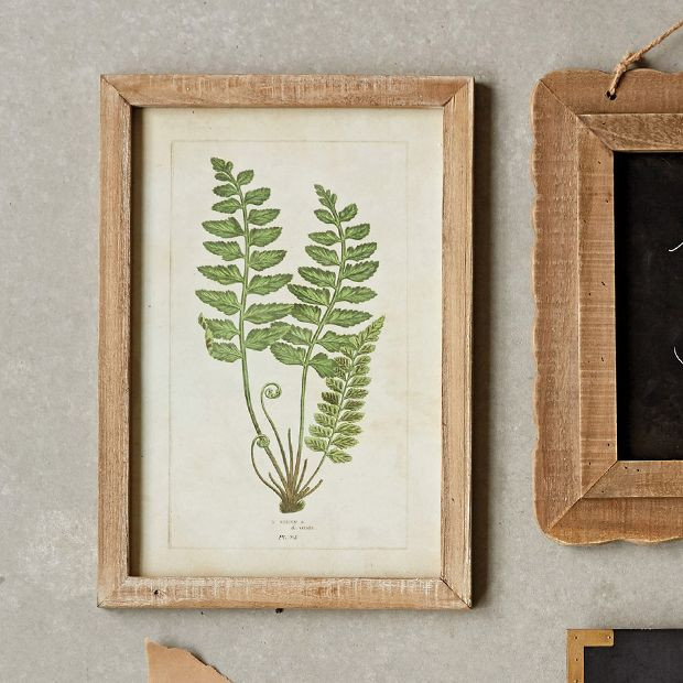 Framed Wall Decor With Ferns Set of 6 | Antique Farm House