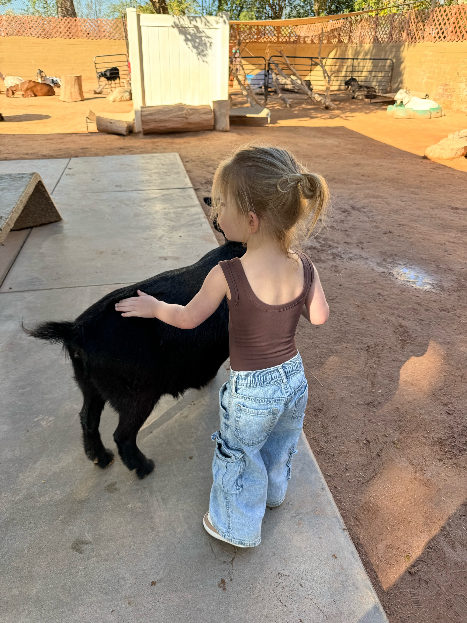 Still not over this outfit on Sutton 😭🤎

#LTKFamily #LTKFindsUnder50 #LTKKids