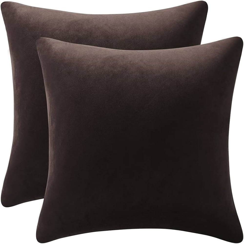 DEZENE Decorative Pillow Cases 24x24 Chocolate Brown: 2 Pack Cozy Soft Velvet Square Throw Pillow... | Amazon (US)