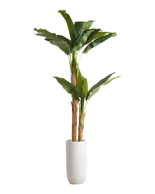 6ft Banana Tree | TJ Maxx