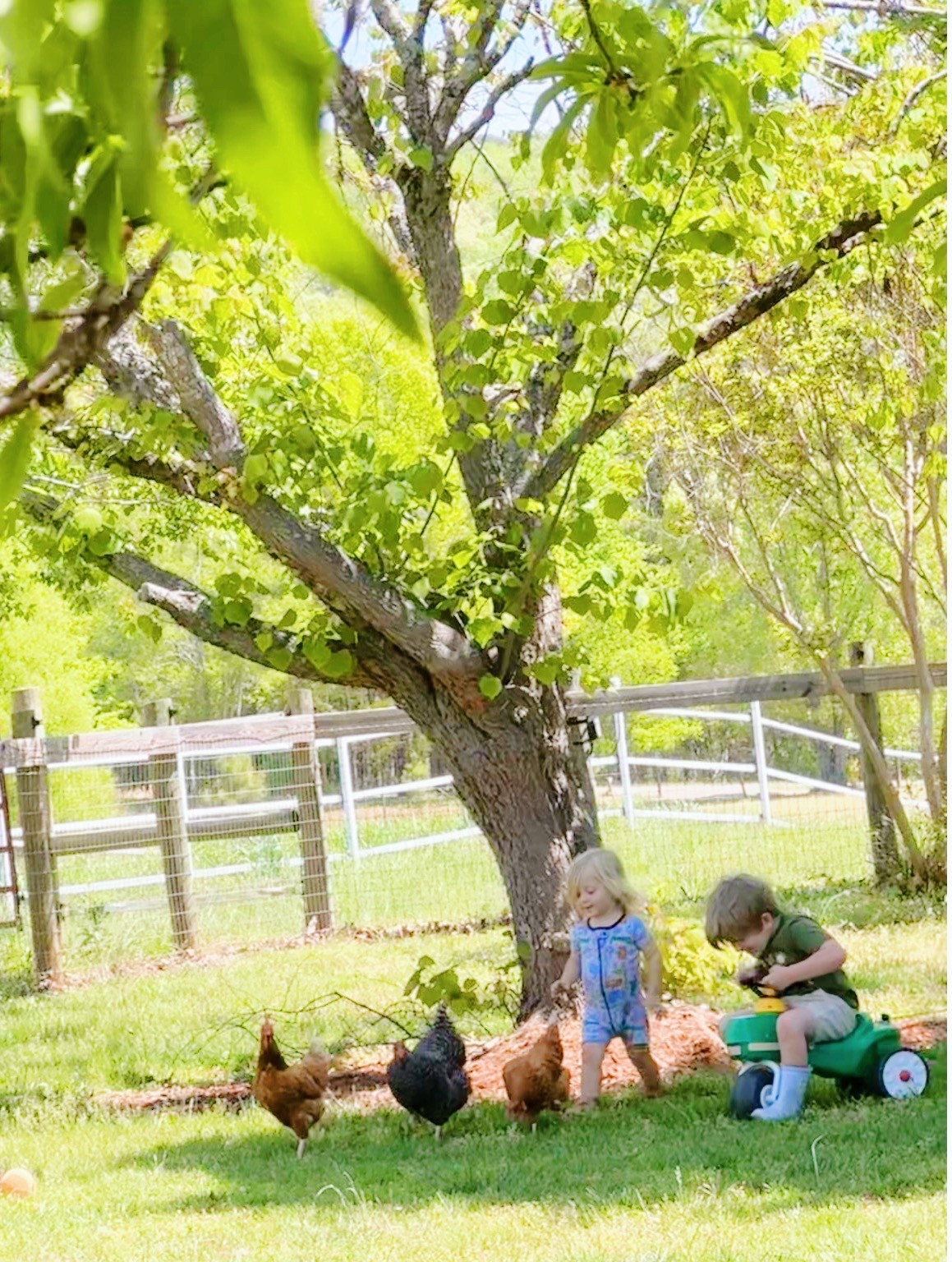 I mean if this isn’t the picture of a precious sweet, slow, and simple country childhood… I don’t know what is!! 🐓🌾