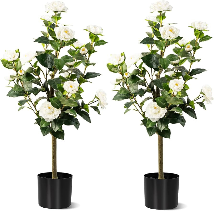 3FT Artificial Camellia Tree 2 Pack, Artificial Plants Outdoor Faux Floral Plant in Cement Pot Fa... | Amazon (US)