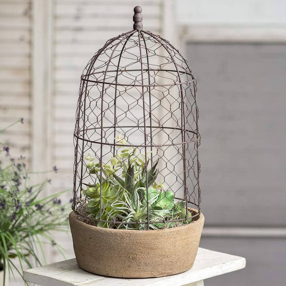 CTW Home Collection 840122 Tall Chicken Wire Cloche with Terra Cotta Pot, 18 1 -inch Height, Brow... | Amazon (US)