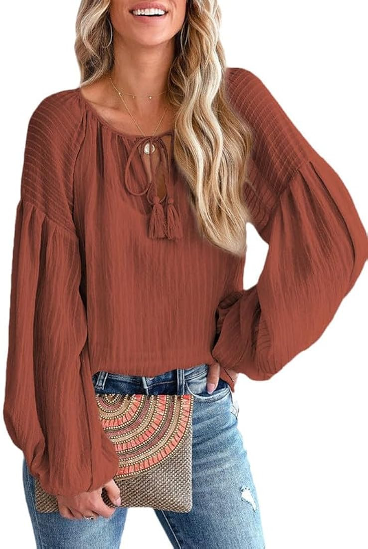 SHEWIN Women's Casual V Neck Lantern Long Sleeve Blouses Loose Drawstring Shirts Tunic Tops | Amazon (US)