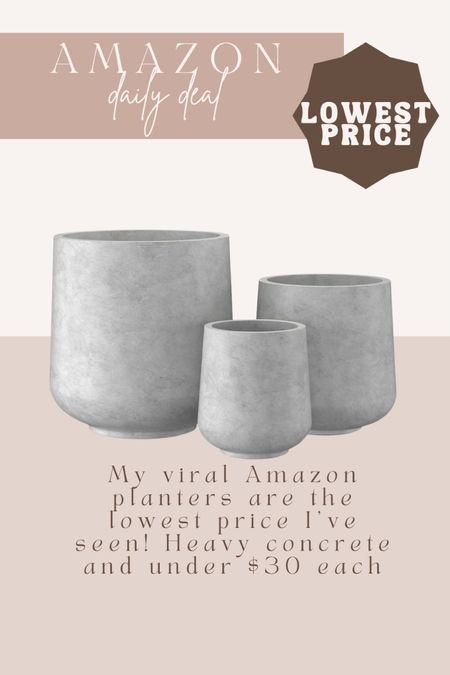 Lowest price I’ve seen in my viral concrete planters from Amazon!

#LTKSeasonal #LTKHome #LTKSaleAlert