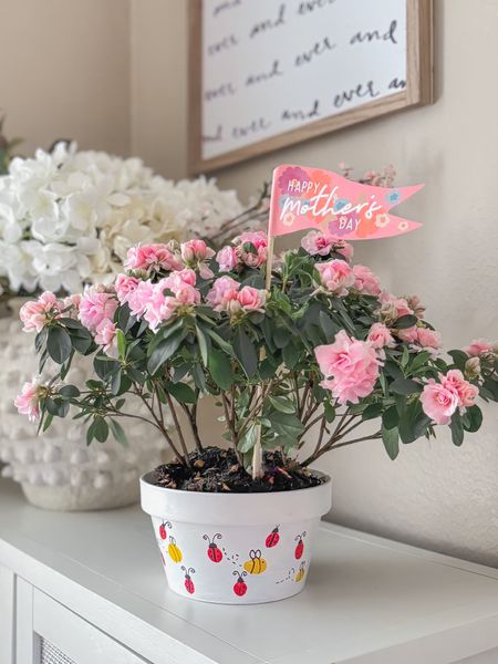 We created a fingerprint flower pot for Grandma and added a beautiful plant for her to enjoy.  The kids chose bees 🐝 and ladybugs 🐞, but you could also make flowers, hearts and butterflies.  So many fingerprint possibilities!  

I got everything we used on @Walmart.  They have an impressive selection that caters to Comfort Crafts, Seasonal Crafts, and Kids Crafts, making it an ideal destination for all your crafting needs.

Shop all the supplies on Walmart.

#walmartpartner #walmarthome #mothersday #mothersday2024 #mothersdaygift #kidscrafts #diy #diygift #giftsforher #giftsforgrandma #grandmother #nana 

#LTKkids #LTKfamily #LTKGiftGuide