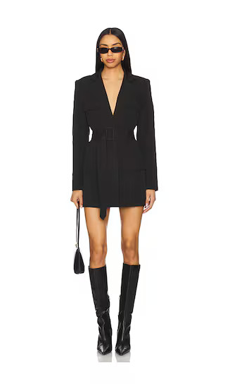 Steinway Mini Dress in Black | Revolve Clothing (Global)