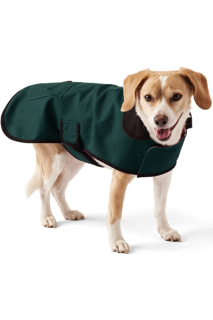 Dog Barn Coat - Lands' End - Green - L | Lands' End (US)