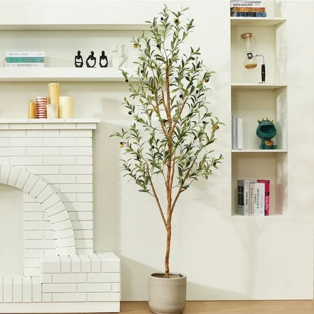 6 ft Artificial Olive Plants with Realistic Leaves and Natural Trunk, Silk Fake Olive Tree in Black Plastic Pot, Faux Olive Tree for Office Home | Walmart (US)