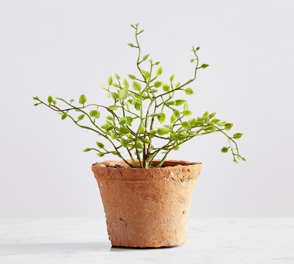 Faux Potted Mini Angel Vine Fern, 7&amp;quot;H | Pottery Barn (US)