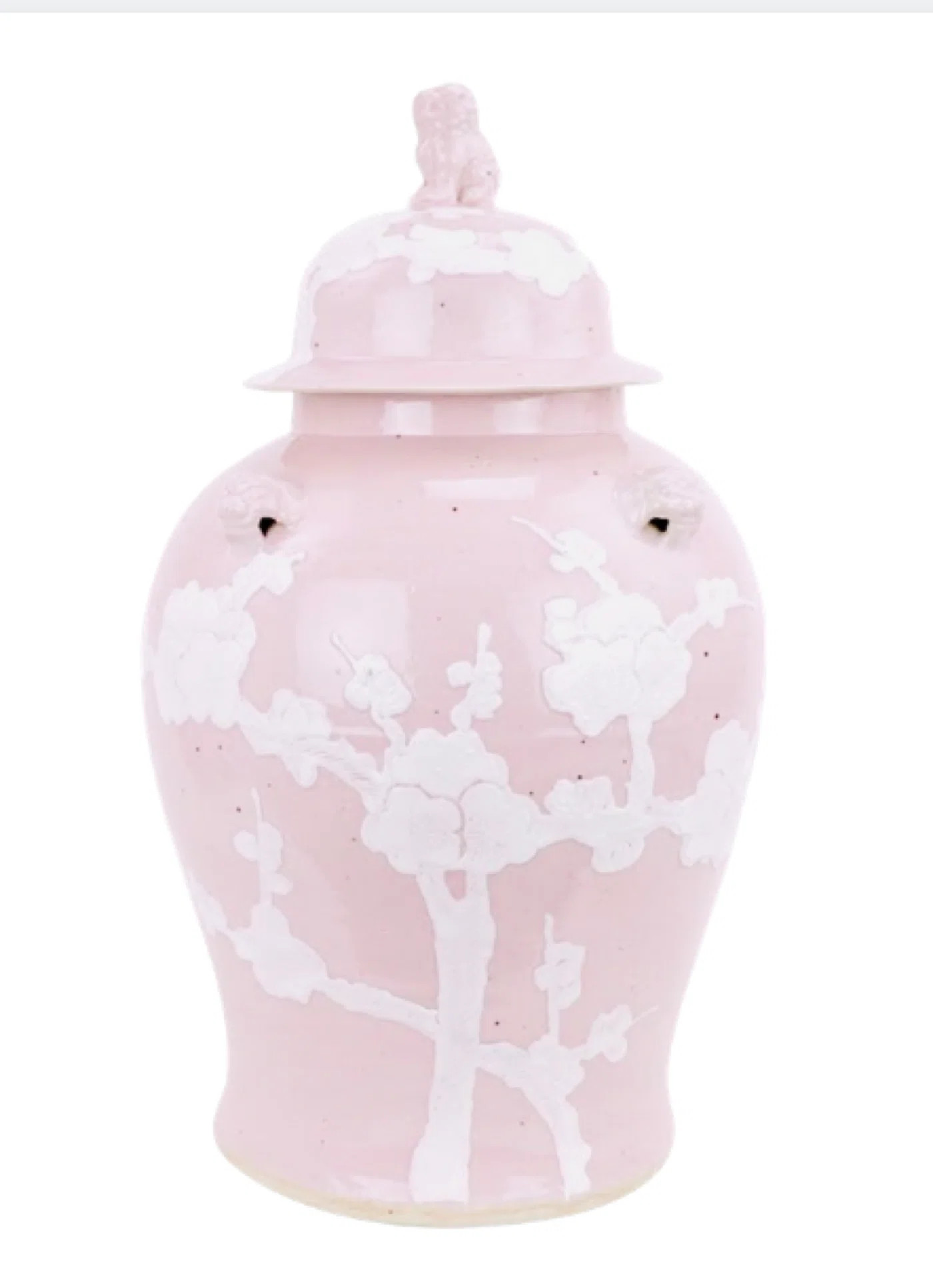 Asha Handmade Porcelain China Ginger Jar | Wayfair North America