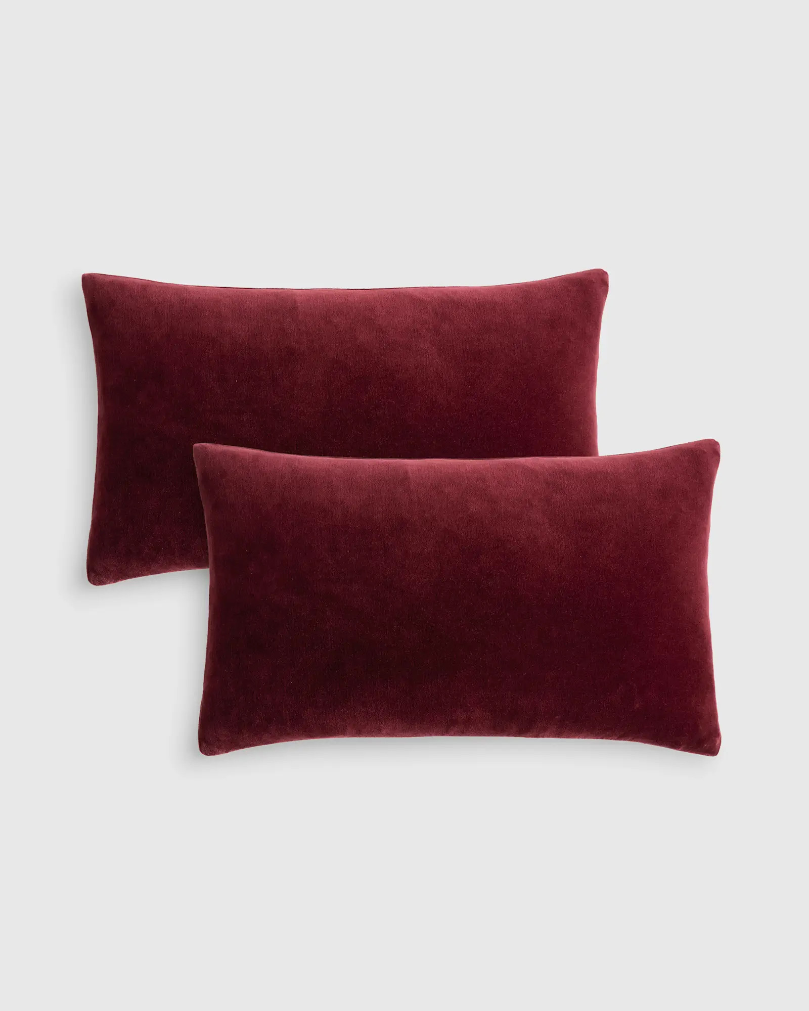 Cotton Velvet Pillow Cover - Set of 2 in Bordeaux | Quince