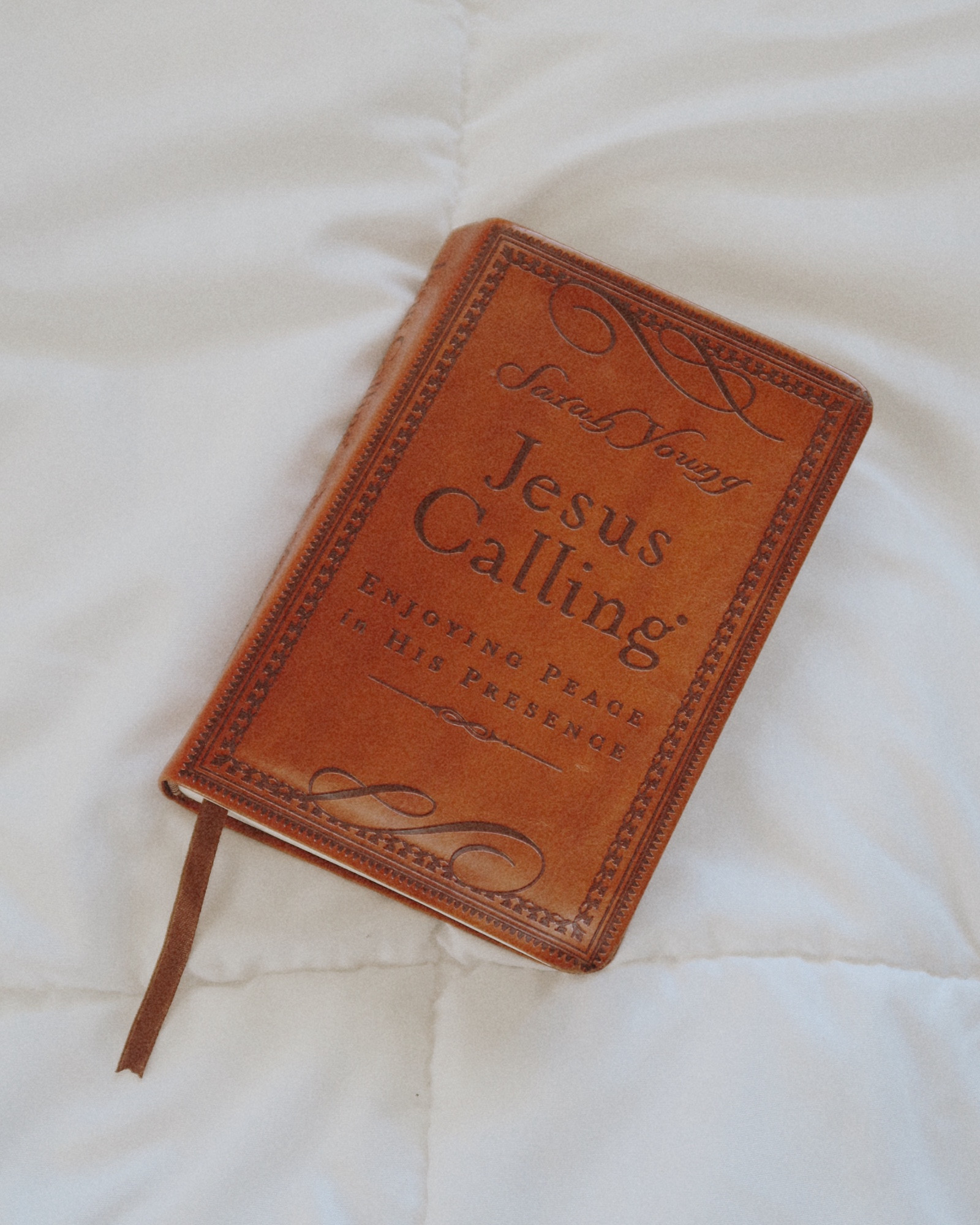 My favorite 365-day devotional. This would make the best gift for you or a loved one 🤍

#LTKGiftGuide