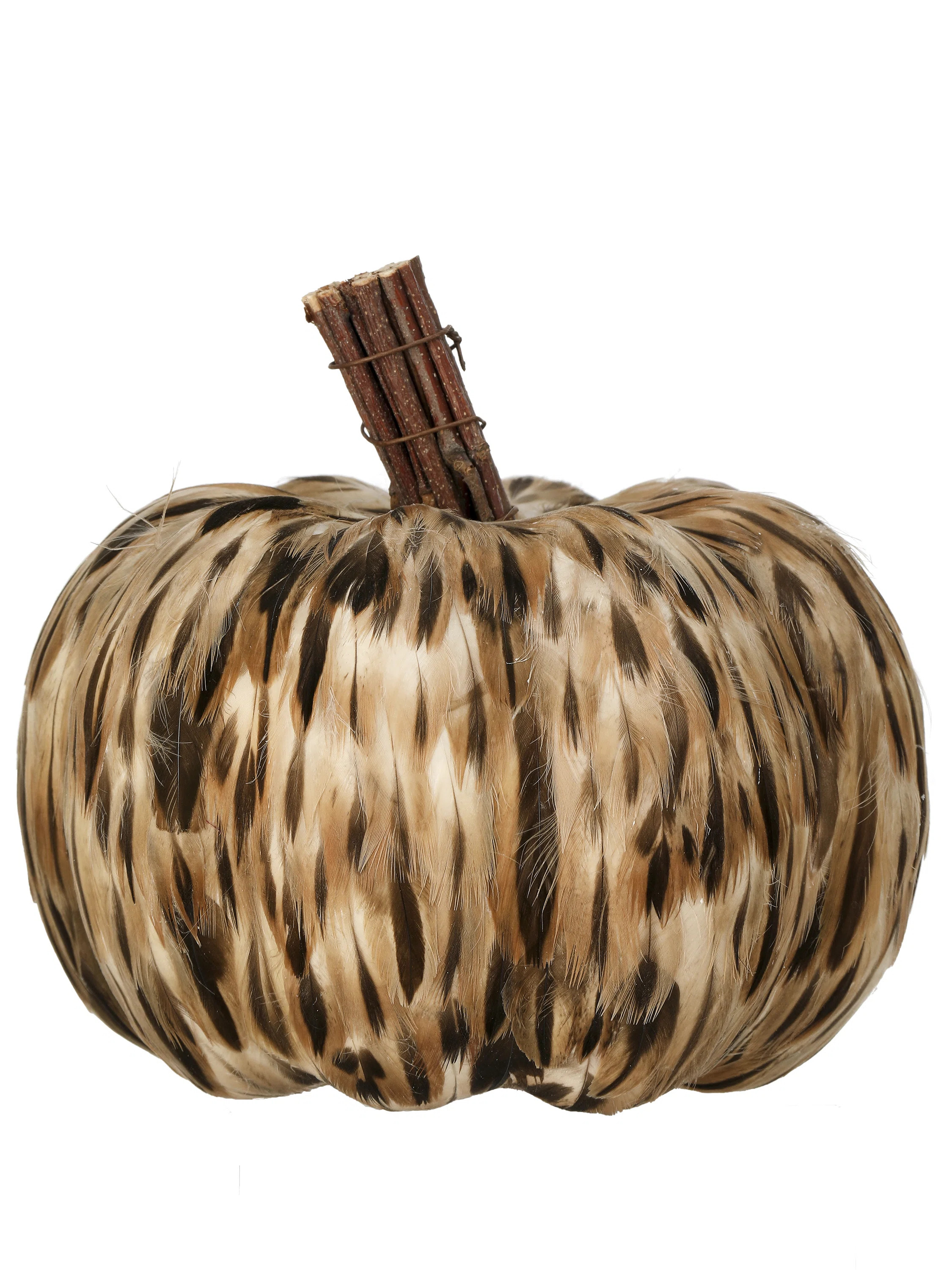 The Holiday Aisle® 5.5" Natural Feather Pumpkin | Wayfair | Wayfair North America