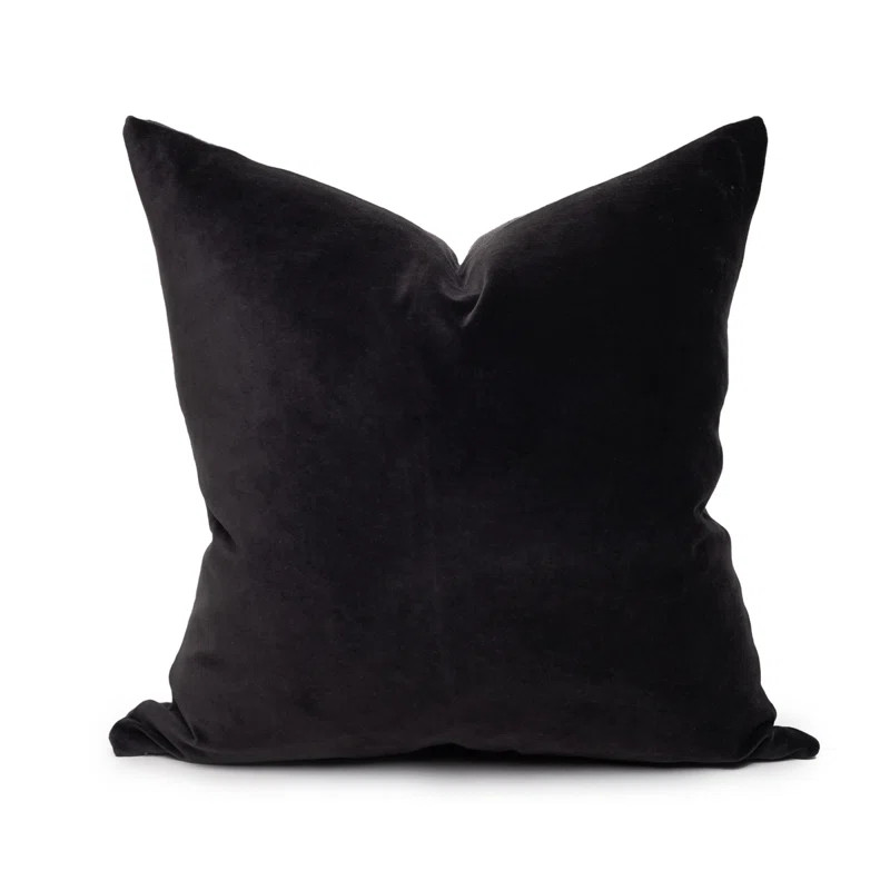 Sophie Square Velvet Pillow Cover Only | Wayfair North America