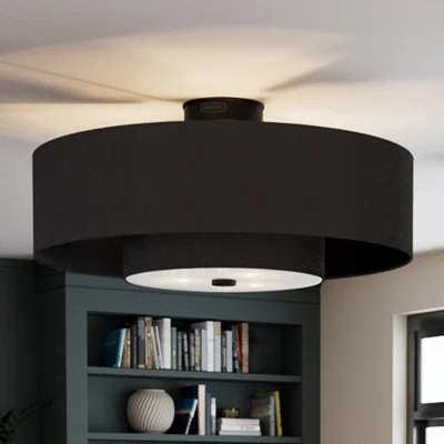 Jasmine Roth x Hunter 30 inch Brookside Fandelier Ceiling Fan with Lights and Remote | Wayfair North America