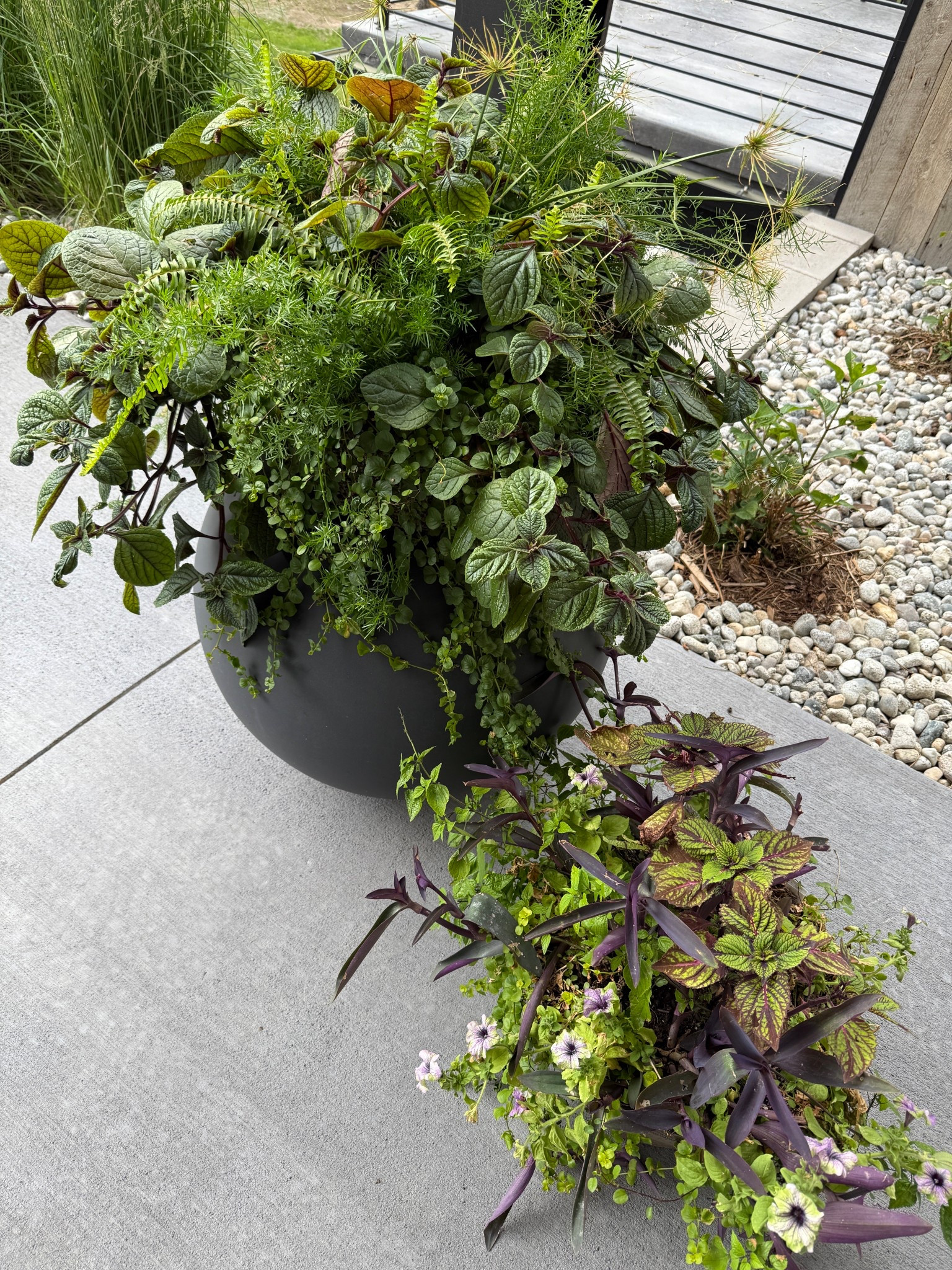 The plants are flourishing outside right now! Linking some of my favorite planters and outdoor decor.

#LTKStyleTip #LTKHome #LTKSeasonal