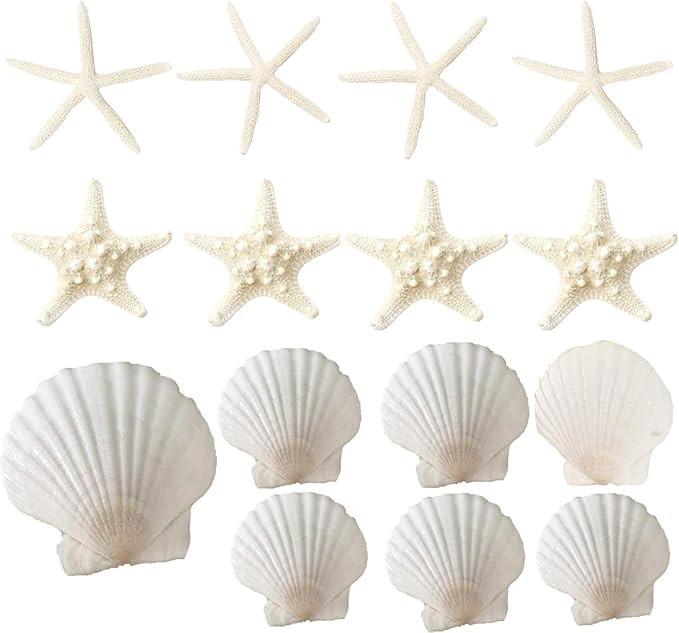 15 PCS 3-4 Inches Large Starfish 2-6 Inch Mixed Natural Scallop Shells Perfect for Wedding Decor ... | Amazon (US)