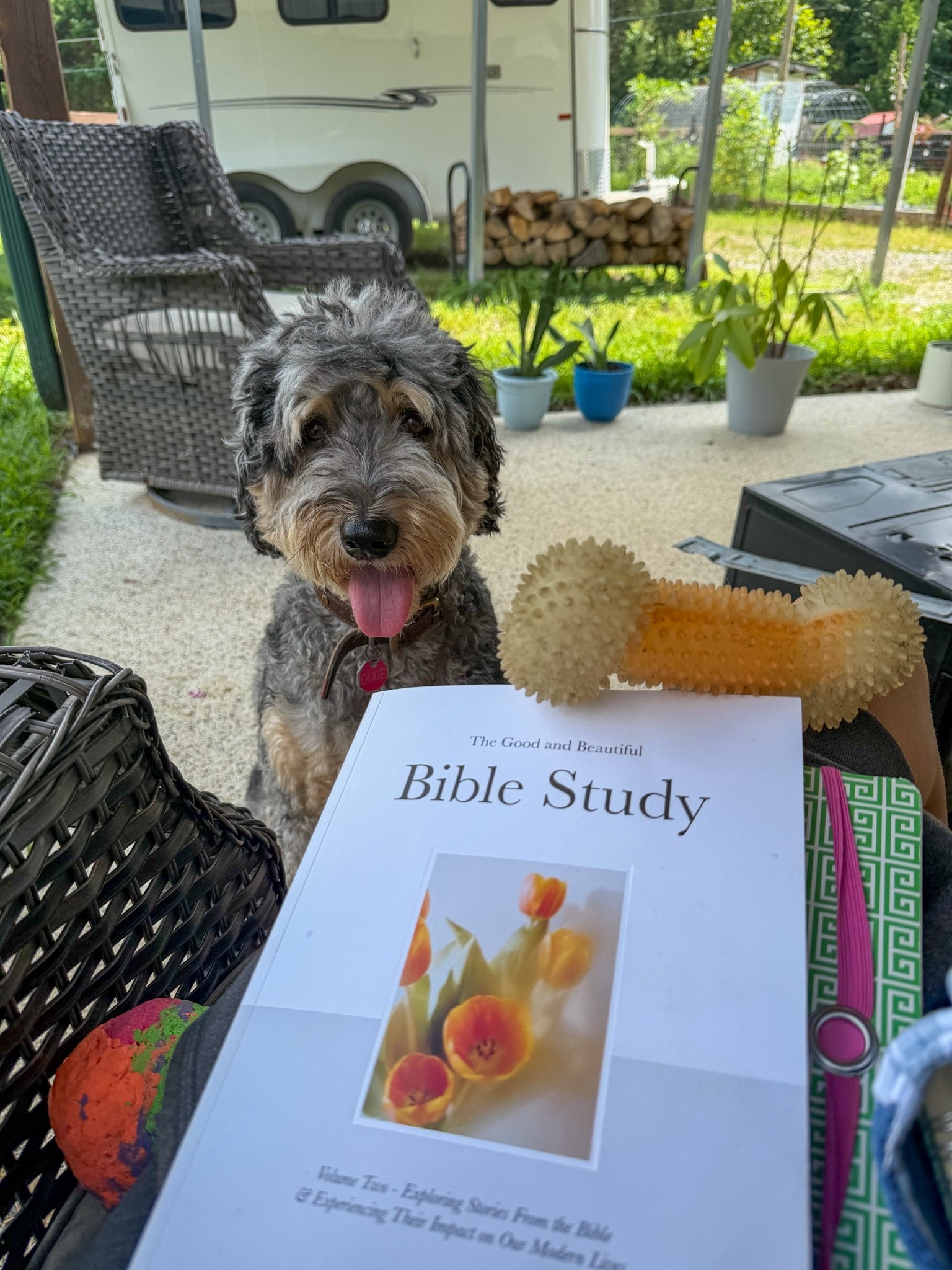 LOVE this bible study. I finished the first volume and got the second one! #christian #biblestudy #devotion

#LTKdayinmylife #LTKselfcare #LTKvlog