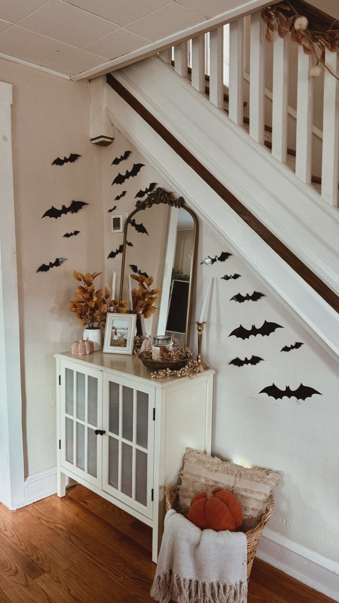 the sticker bats we order every year 🦇 

#LTKHalloween #LTKFamily #LTKSeasonal