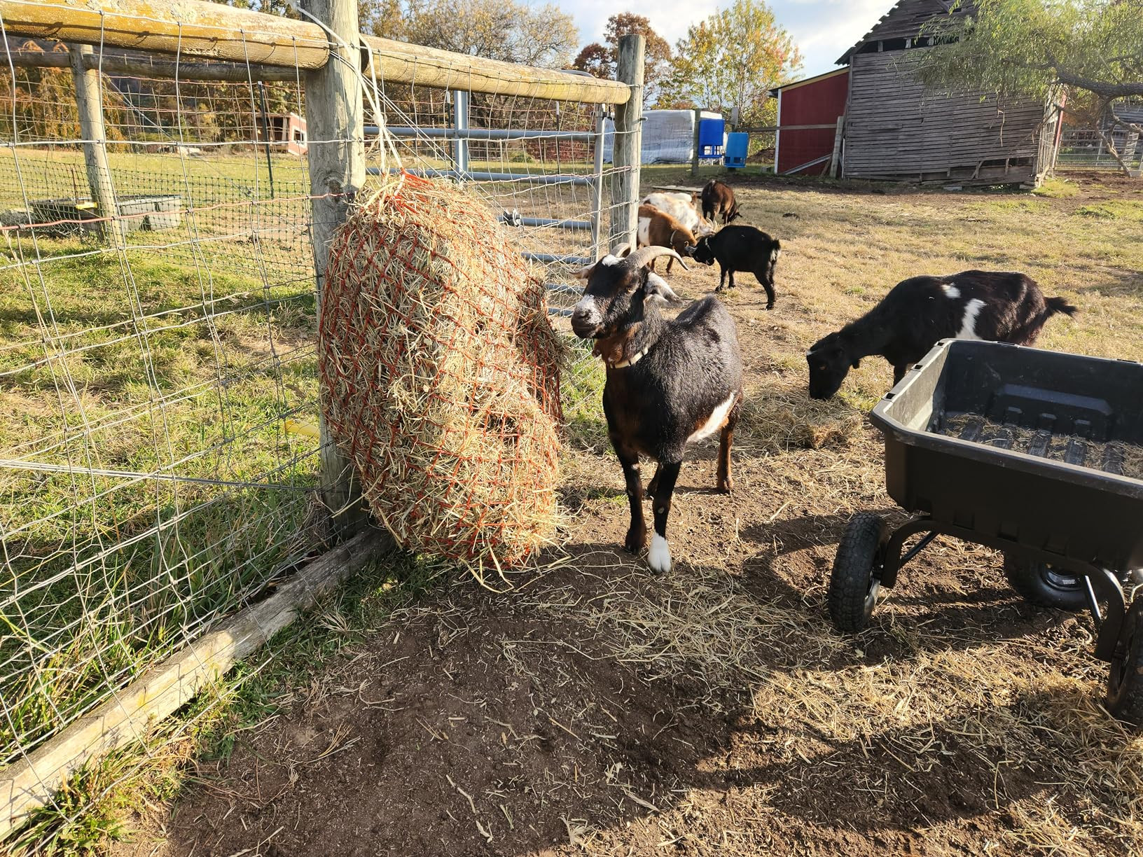 Tough 1 Slow Feed Hay Bag | Amazon (US)