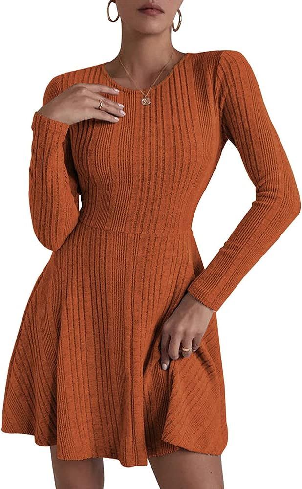 Hotwy Women's Crew Neck Long Sleeve A-Line Casual Shift Tunic Swing Mini Dresses | Amazon (US)