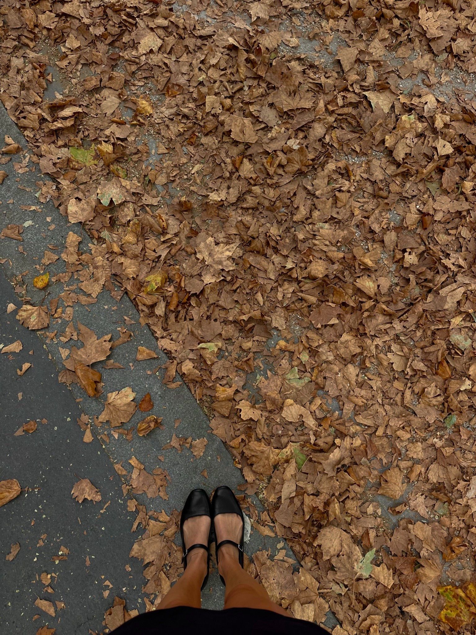 these adorable ballet flats are from Dolce Vita! I also linked a similar more affordable pair, but do you think that the Dolce Vita quality is worth it!🖤

#LTKShoeCrush
