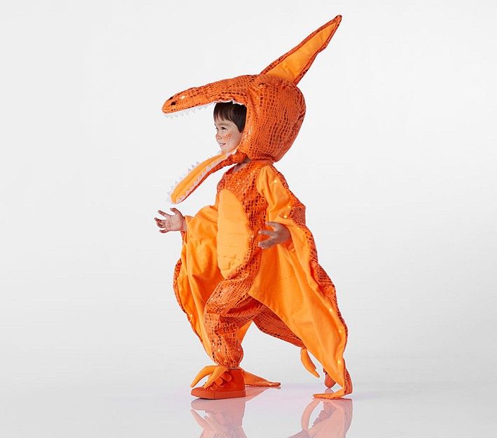 Light-Up Pterodactyl Halloween Costume | Pottery Barn Kids