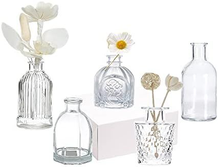 Bud Vases in Bulk - Small Glass Vase Set of 5 EylKoi Different Shape Vintage, Mini Vases Clear Sm... | Amazon (US)