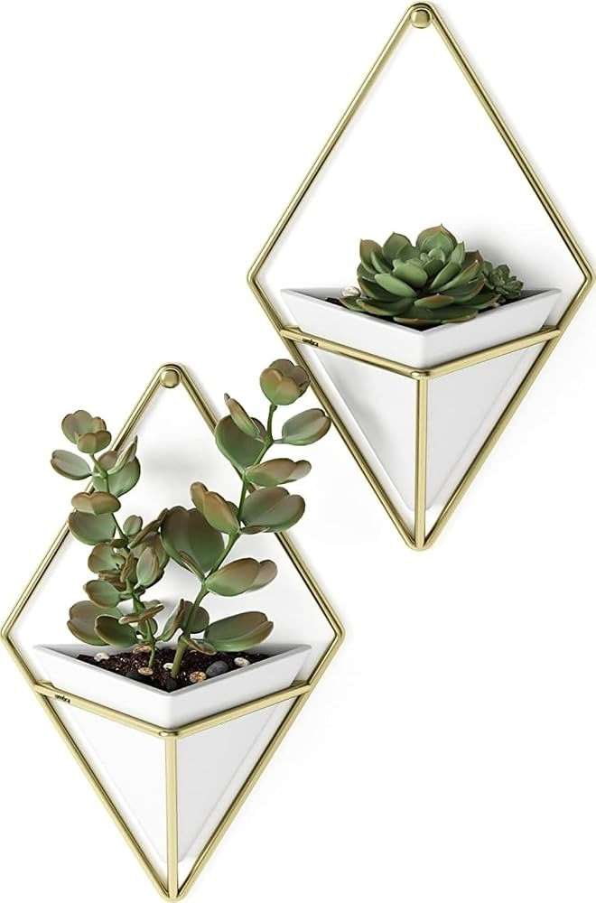 Umbra Trigg Hanging Planter for Small Plants, Set of 2, Small, White/Brass | Amazon (US)