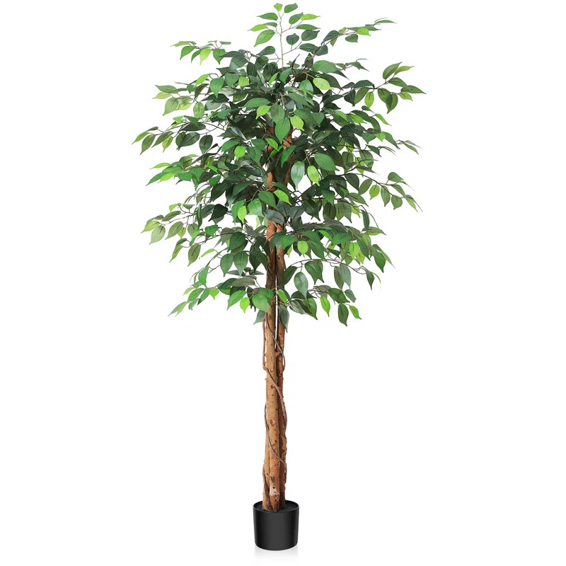 Adcock Faux Ficus Tree in Potwith Realistic Leaves and Natural Trunk | Wayfair North America