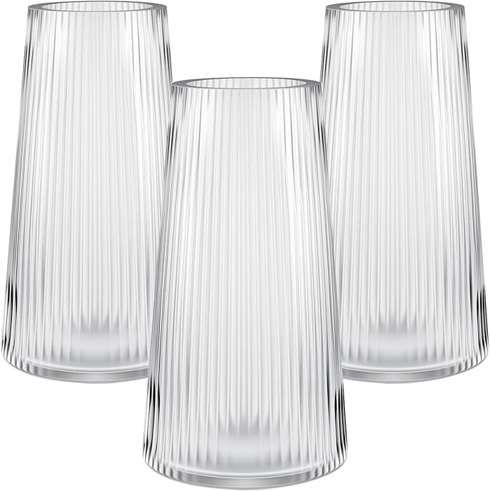 3 Pcs 8 Inch Tall Glass Vase for Flower, Flower Vases for Bouquet, Modern Glass Vases, Clear Ribb... | Amazon (US)